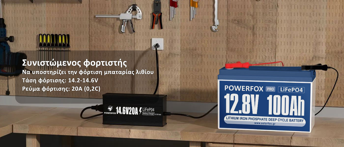 Συνιστώμενος φορτιστής 12V 20A μπαταρίας Λιθίου-Φωσφορικού σιδήρου ή LiFePO4